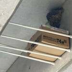 らぁ麺屋 はりねずみ - 