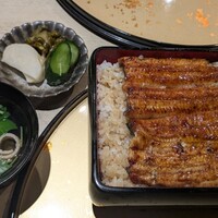 うなぎ 目白ぞろ芽 - 