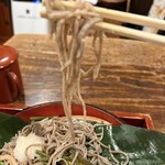 飛騨茶屋 寿美久 - 山菜ざるそば