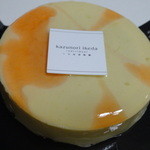 カズノリ イケダ アンディヴィデュエル - サンタ アナ