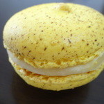 カズノリ イケダ アンディヴィデュエル - マカロン パッション