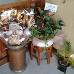 はなとうさぎ - 