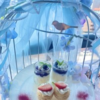 渋谷 Blue bird - 