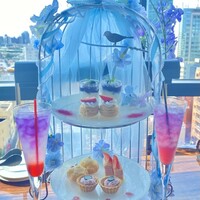 渋谷 Blue bird - 