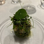 プリンチピオ - 