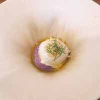 il tram - ブッラータ 紫芋 胡桃 ディル