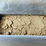 本煉果子 炊蓮 isshin  - 