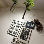 マリエファム ココ - 