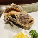 お魚処 うおとも - おこぜ唐揚げ　ありし日の姿