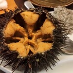 和食処 大ばん - 大粒ガゼウニ