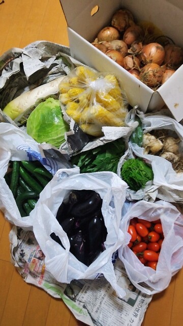 インドレストランガネーシャ 泉店（INDIAN RESTAURANT GANESH） - 泉中央（インドカレー）の写真