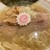 虎ノ門 嚆矢 - 料理写真: