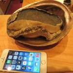 鮨 とかみ - アワビの大きさ