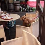 ル･クロワッサン - 