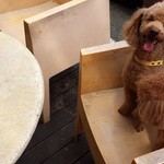 ル･クロワッサン 宝塚店 - 