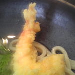 うどん日和 - シッポまで衣がたっぷりでカリカリに揚がっています