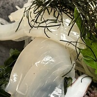 おたる政寿司 本店 - イカそうめんのアップ