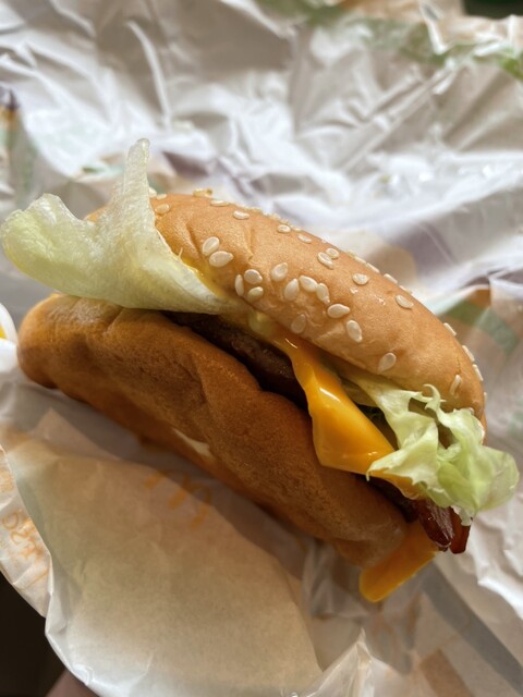 McDonald's Okuto Kaido Ten photo 2