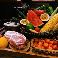 オッジ ダルマット 西麻布店 - 