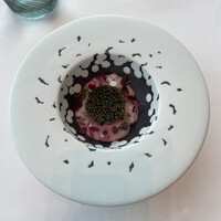 Restaurant Bellustar - 