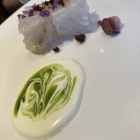 サーラ アマービレ - 