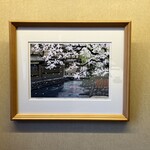 銀座 吉兆 - 桜の季節に訪問