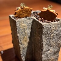マキノンチ - 