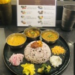 Curry Spice Gelateria KALPASI - 3種　¥1700