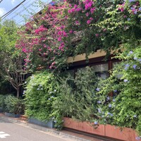 エトゥルスキ - 