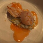 モンプチコションローズ - 