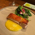 モンプチコションローズ - 