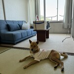 政府登録国際観光旅館 水の - 