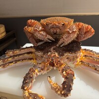 銀座 きた福 - 毛蟹 700g
                    たらば蟹 2.6kg