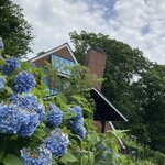 GENJIRO - 紫陽花がステキ 2025.7.