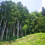 手打ち らーめん 響 - 秘境ラーメン屋です！