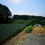 手打ち らーめん 響 - ポツンとラーメンの風景です！