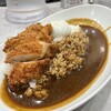 カレーハウス ピヨ 川崎アゼリア店