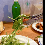 SARÒ - サラダのパラっとフワッと感　　byまみこまみこ