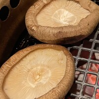 神戸牛炭火焼肉 いく田 代々木 - 