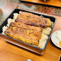 ふな又 - 特上うな重