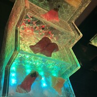 牛牛 西麻布 総本店 - 