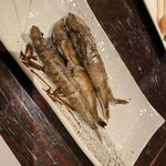 露地厨房 且坐 - 