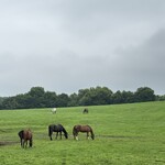 Yogibo Versailles Resort Farm CAFE - 