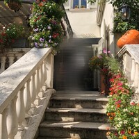 表参道バンブー - 