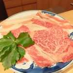 モリタ雲丹五郎 - 