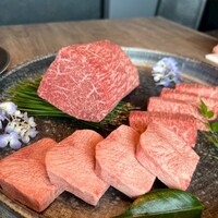 USHIGORO S. SHINJUKU - 