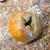 BAKERY MAaLo - 料理写真: