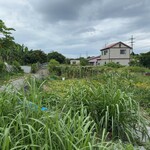 笑味の店 - 笑味の店・畑　3