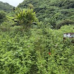 笑味の店 - 笑味の店・畑