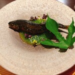 さくら京屋 - 和歌山産紀州鮎 月形町かんろ